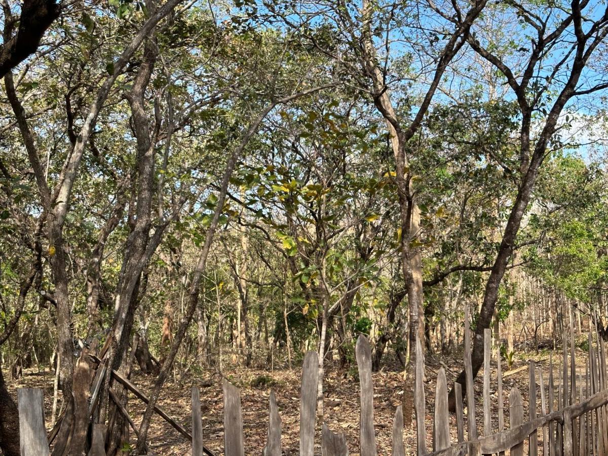 Finca Avellanas Lorena Eksteriør billede