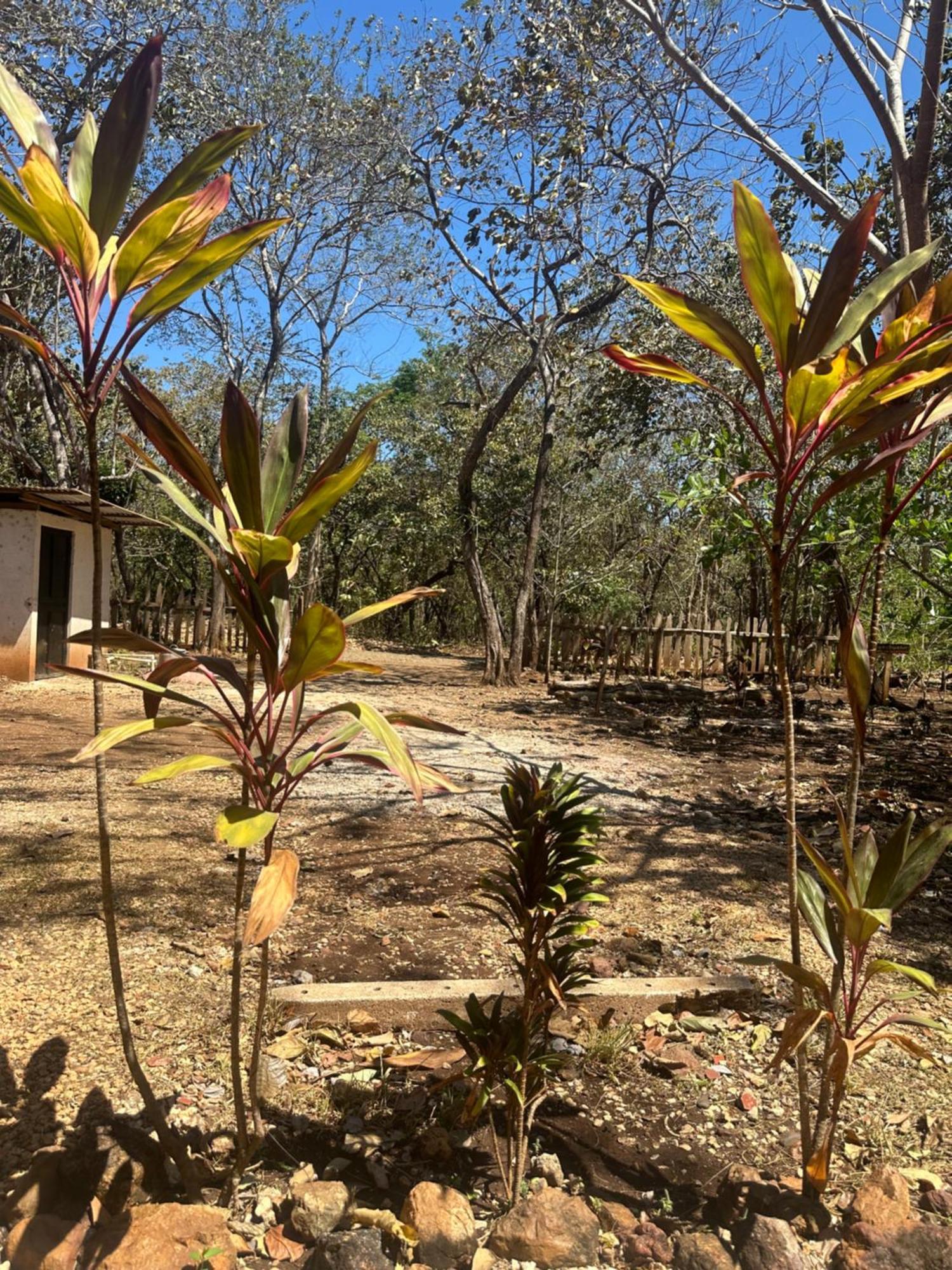 Finca Avellanas Lorena Eksteriør billede