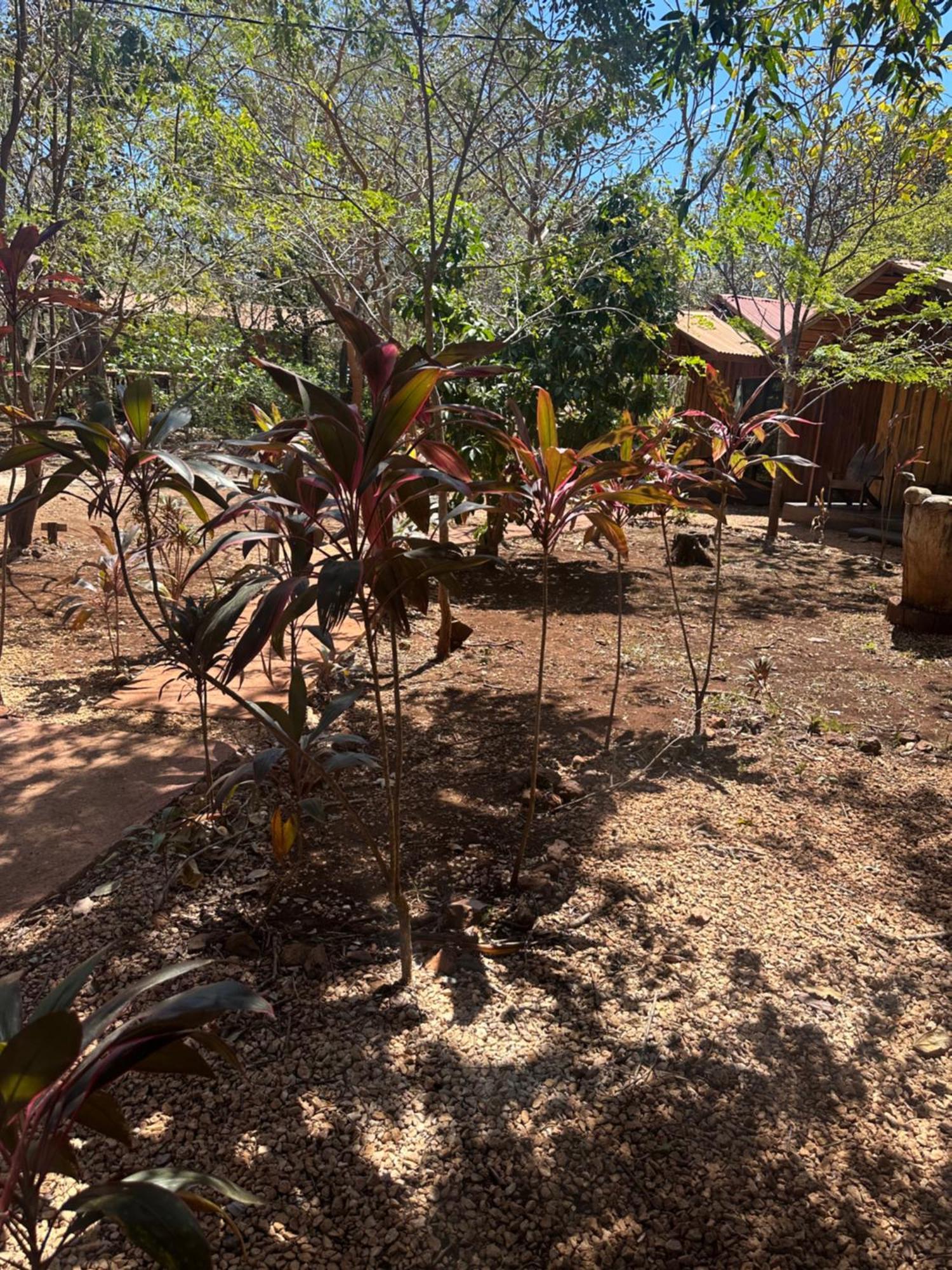 Finca Avellanas Lorena Eksteriør billede