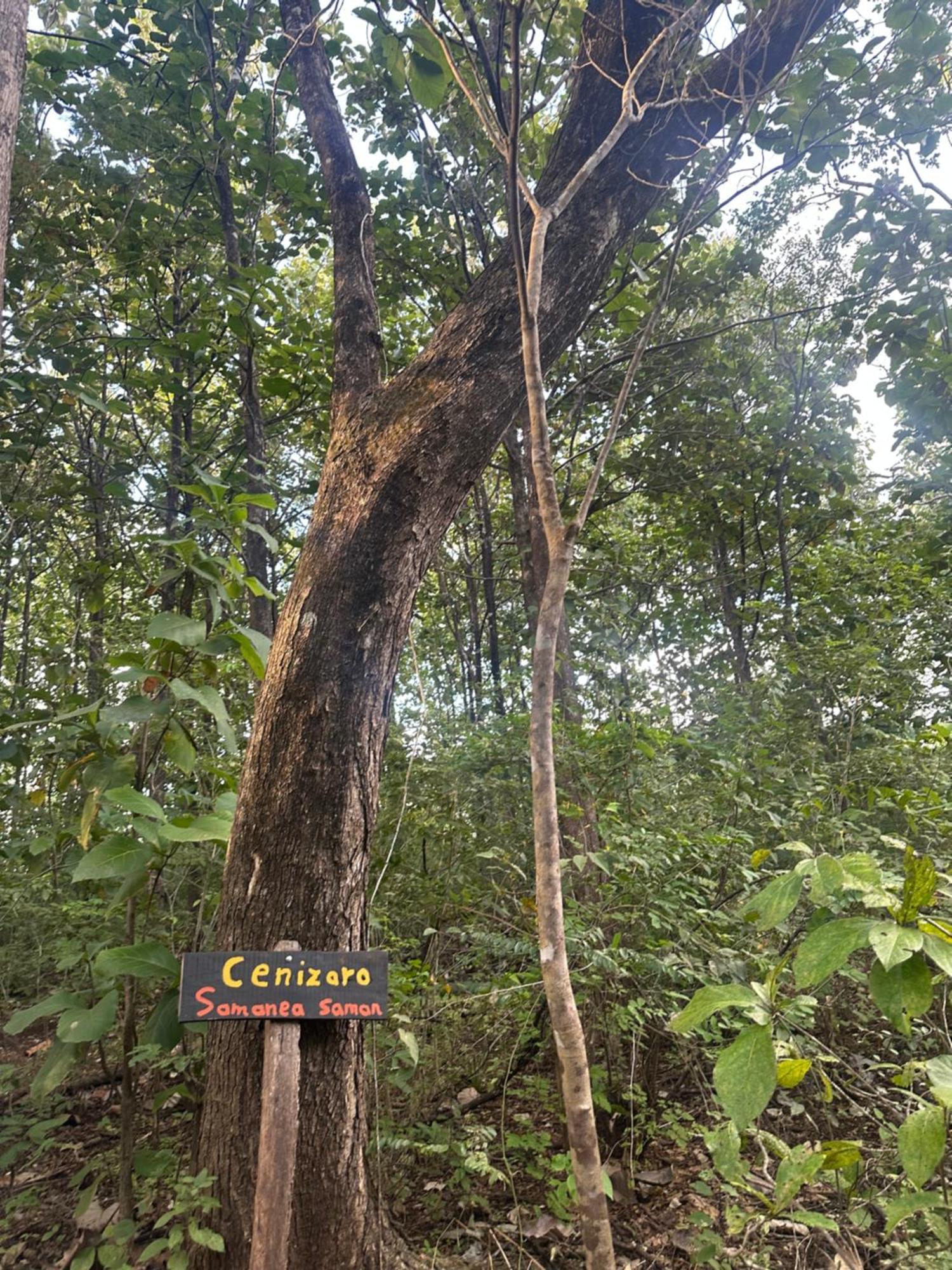 Finca Avellanas Lorena Eksteriør billede
